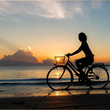 257 Haus Otto הרינגסדורף